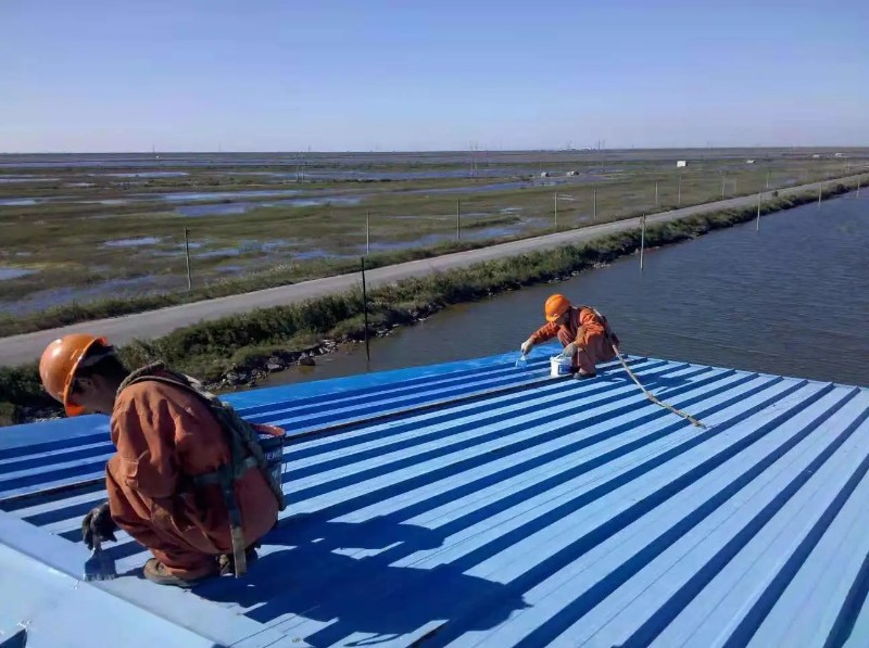 召陵彩钢瓦屋面防腐翻新